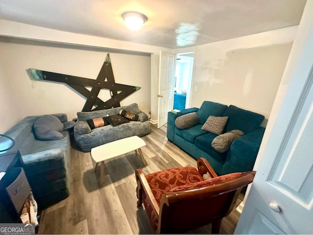 living room with wood-type flooring