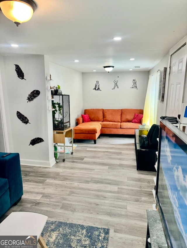 living room featuring light hardwood / wood-style flooring