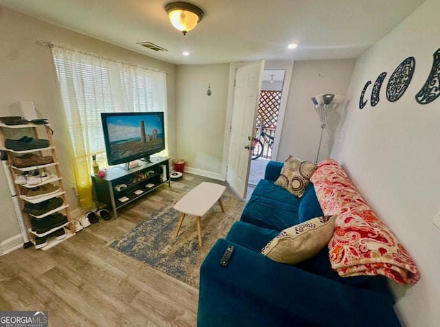 living room featuring hardwood / wood-style floors