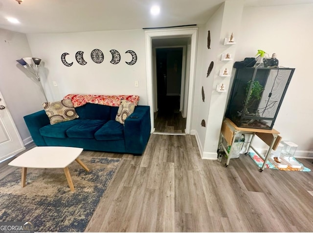 living room with hardwood / wood-style floors