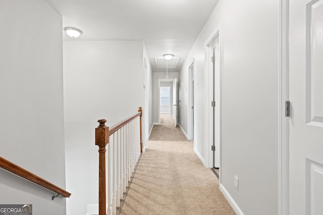 corridor with light colored carpet