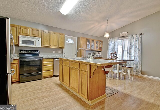 2020 Moore Rd, Moreland, GA 30259 - kitchen with a sink, light wood-style floors, light countertops, stainless steel appliances, and a healthy amount of sunlight