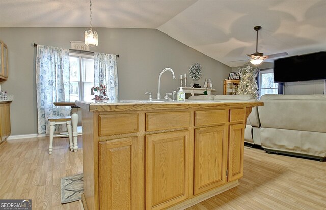 2020 Moore Rd, Moreland, GA 30259 - kitchen with light wood-type flooring, open floor plan, ceiling fan, and lofted ceiling