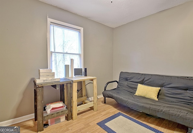 living area featuring wood-type flooring and a textured ceiling