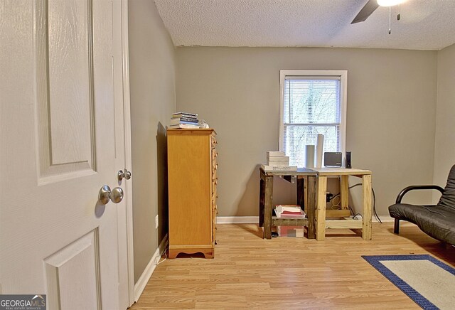 2020 Moore Rd, Moreland, GA 30259 - office with light wood finished floors, a ceiling fan, and a textured ceiling