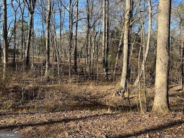 2020 Moore Rd, Moreland, GA 30259 - view of nature