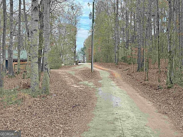 2020 Moore Rd, Moreland, GA 30259 - view of road