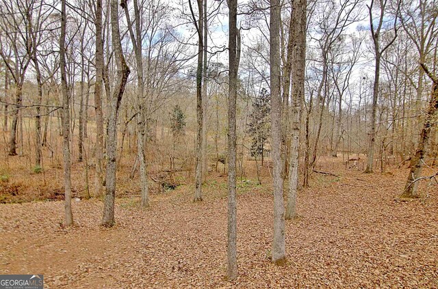 2020 Moore Rd, Moreland, GA 30259 - view of landscape
