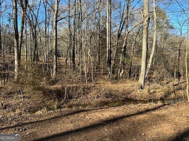 2020 Moore Rd, Moreland, GA 30259 - view of nature