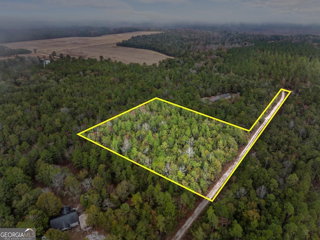 2317 Old Augusta Rd, Clyo GA, 31303 land for sale