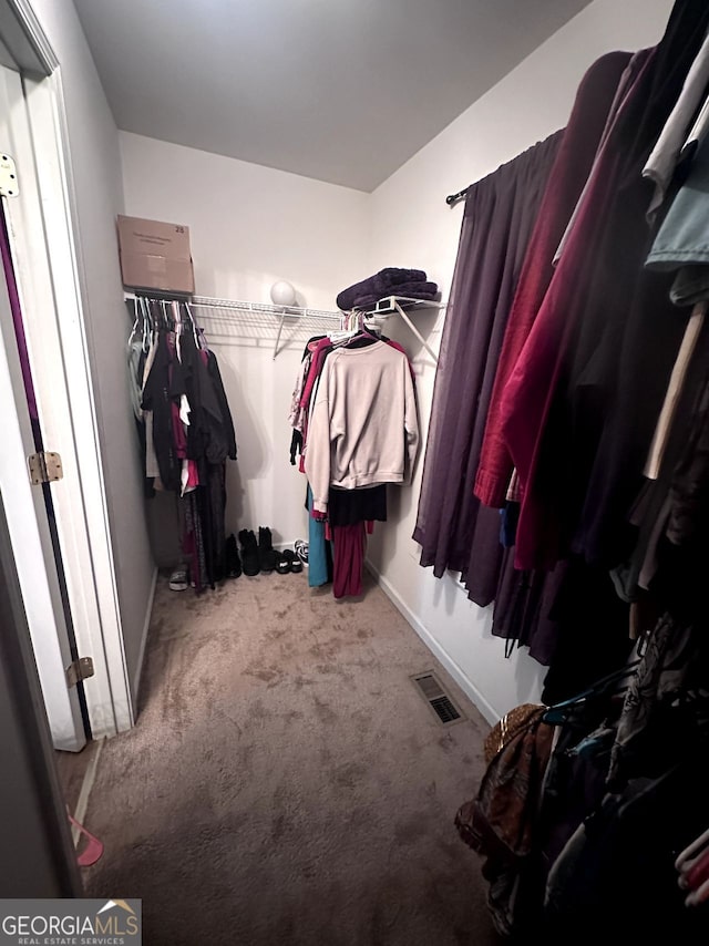 spacious closet featuring carpet