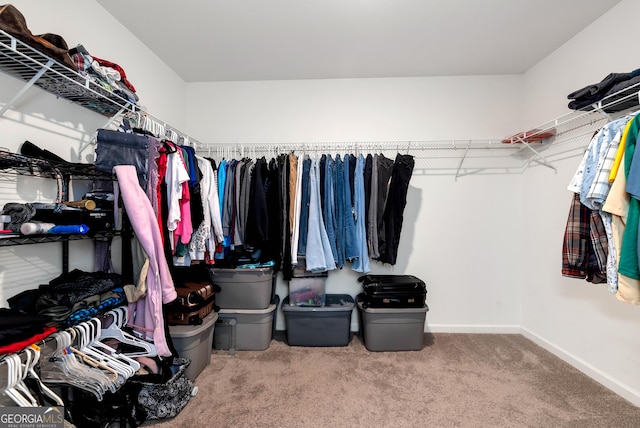 walk in closet featuring carpet flooring