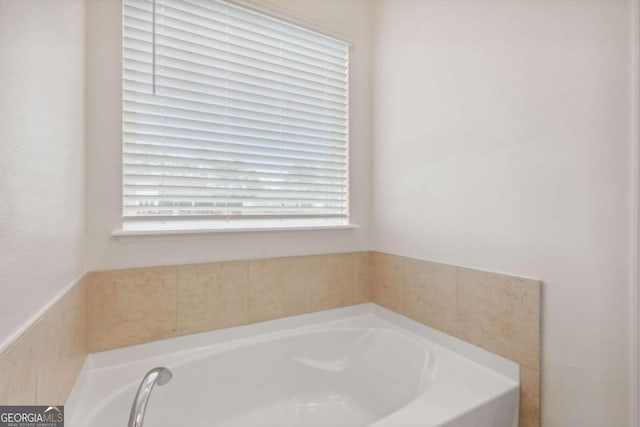 bathroom with a bathing tub