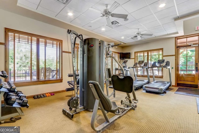 gym with a paneled ceiling, ceiling fan, and carpet floors