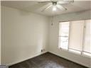 empty room with ceiling fan and a wealth of natural light