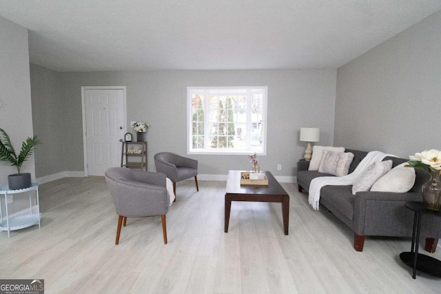 living room with light hardwood / wood-style flooring