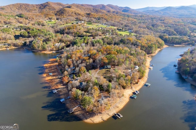 drone / aerial view featuring a water and mountain view