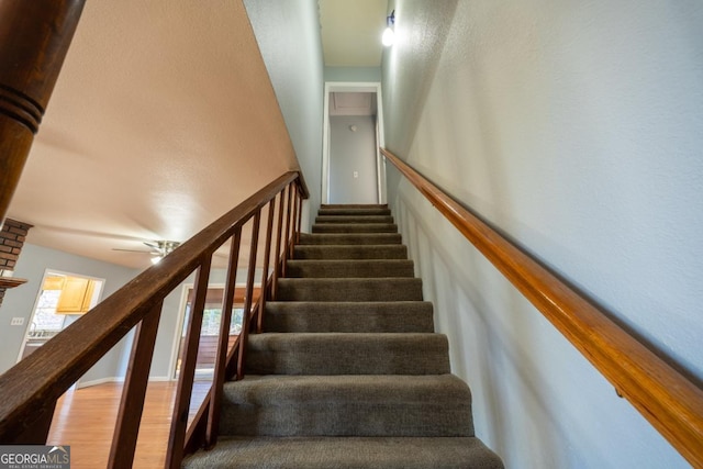 stairs with ceiling fan and hardwood / wood-style floors