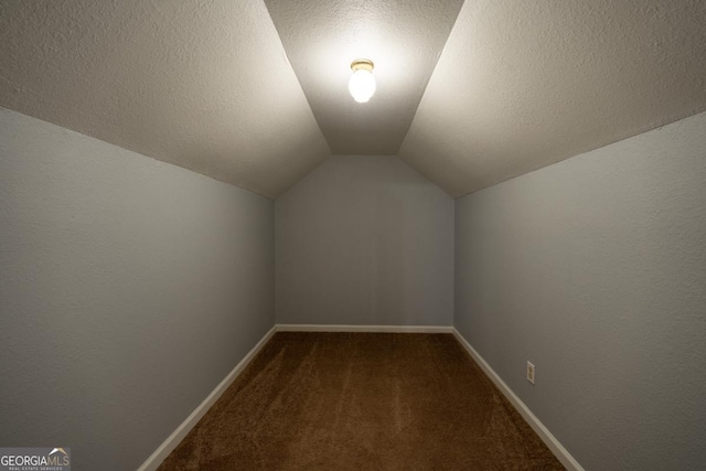 additional living space with a textured ceiling, carpet floors, and vaulted ceiling