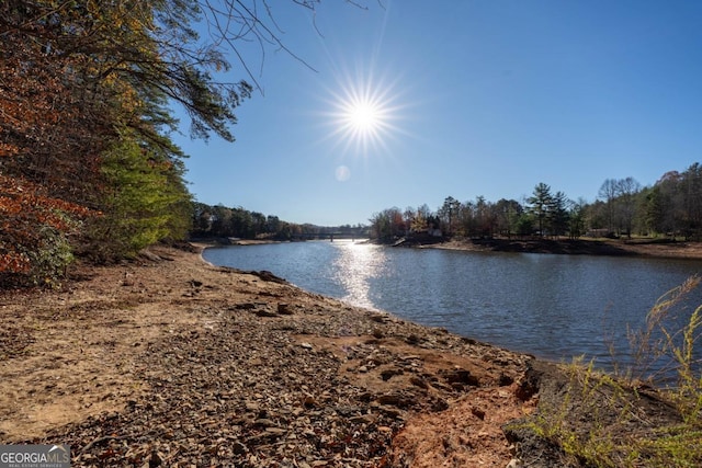 property view of water