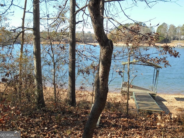 property view of water featuring a boat dock