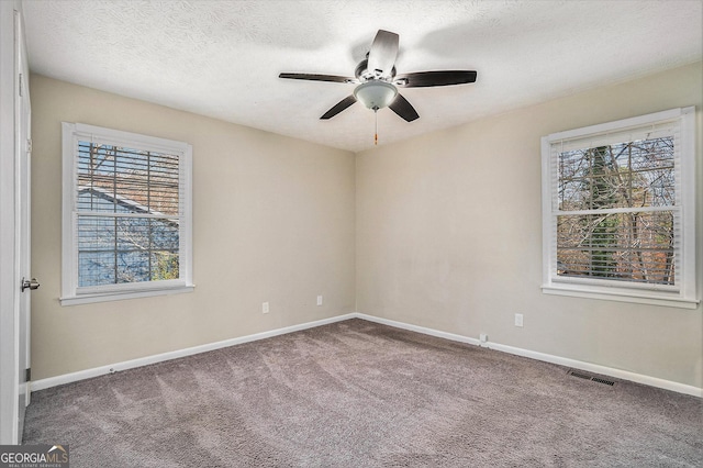 spare room featuring carpet, a textured ceiling, and a healthy amount of sunlight