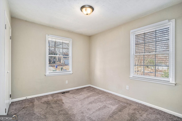 carpeted spare room with a textured ceiling and a wealth of natural light