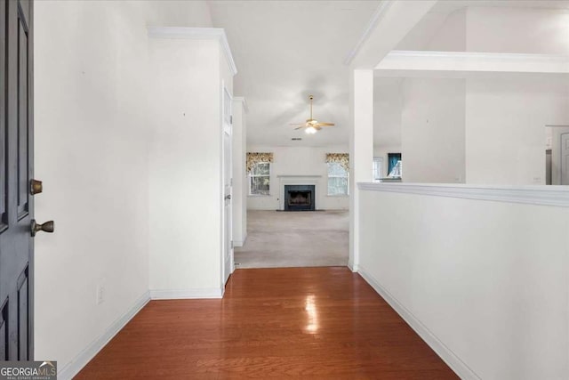 hallway with ornamental molding and carpet floors