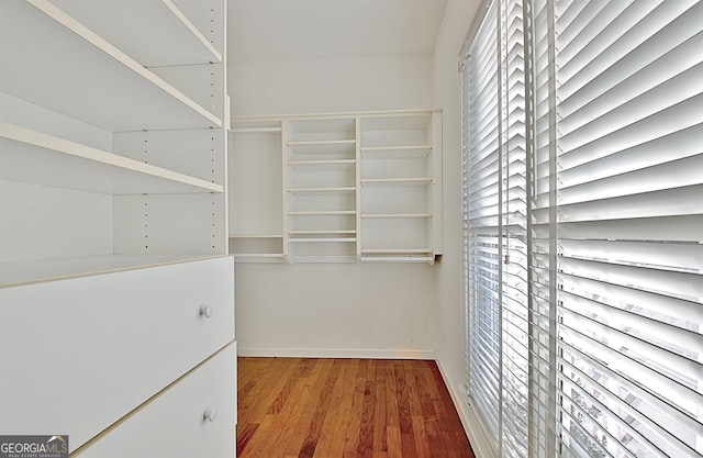 spacious closet featuring wood finished floors