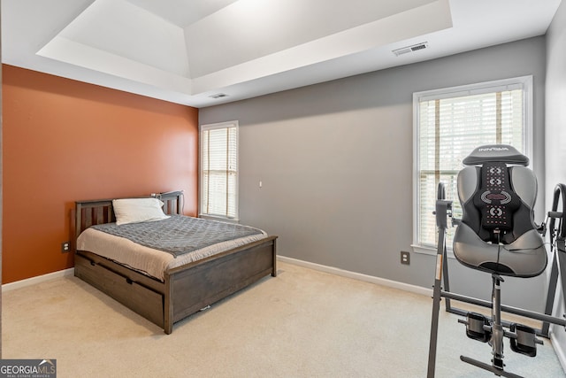 carpeted bedroom featuring a raised ceiling