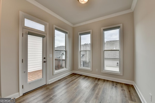 interior space featuring light hardwood / wood-style flooring and crown molding