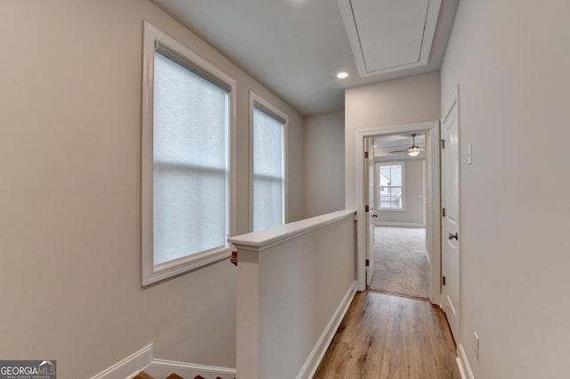 corridor featuring light hardwood / wood-style flooring and a healthy amount of sunlight