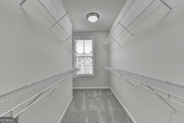 spacious closet with carpet flooring