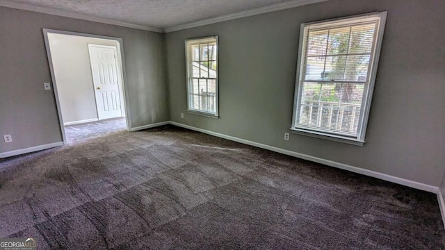 spare room featuring carpet, plenty of natural light, and a textured ceiling