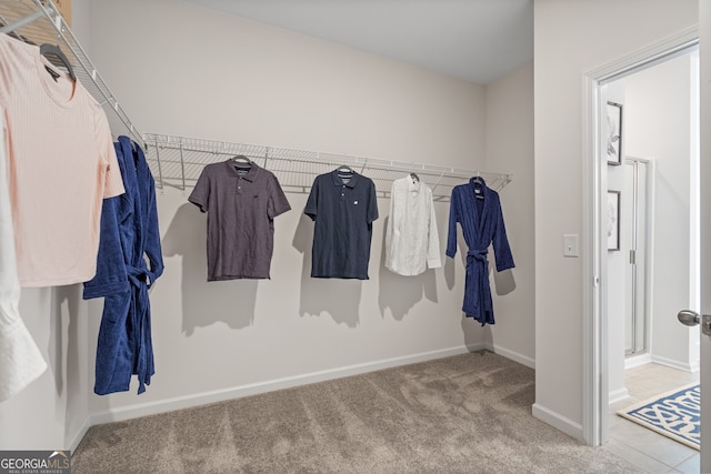 spacious closet featuring carpet floors