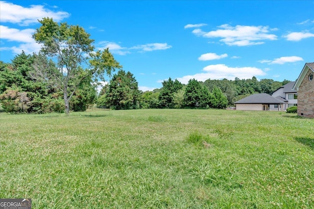 view of yard