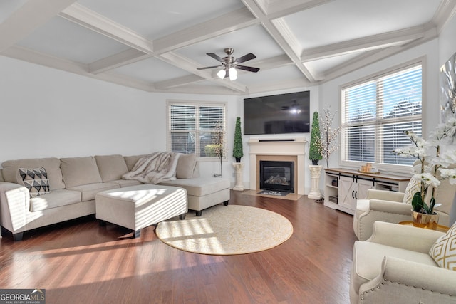 living room featuring beam ceiling, dark hardwood / wood-style floors, and coffered ceiling