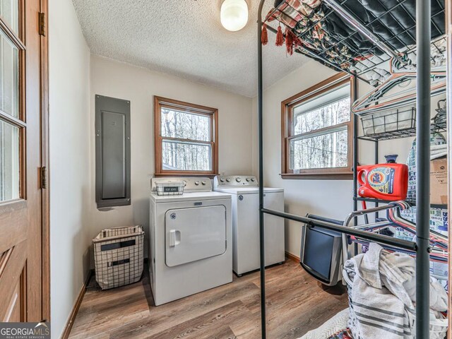 clothes washing area with hardwood / wood-style floors, electric panel, washer and clothes dryer, and a healthy amount of sunlight