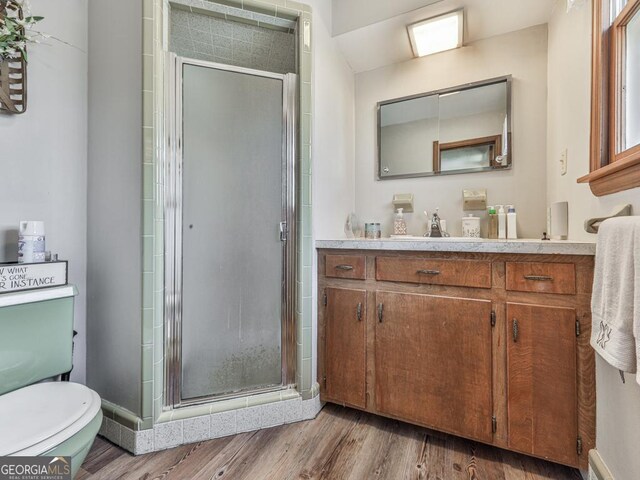 bathroom featuring vanity, toilet, wood-type flooring, and walk in shower