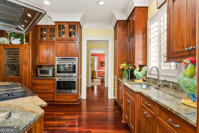 kitchen featuring exhaust hood, sink, dark hardwood / wood-style floors, ornamental molding, and stainless steel appliances