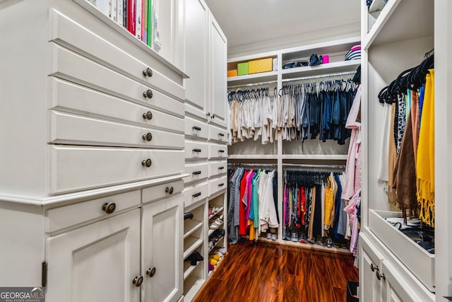 walk in closet with dark wood-type flooring