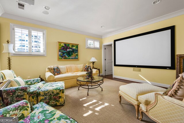 home theater room featuring carpet flooring and crown molding