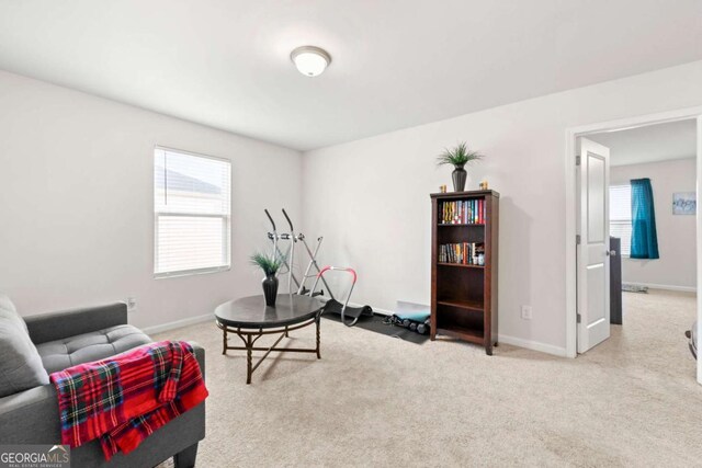 living area with light carpet