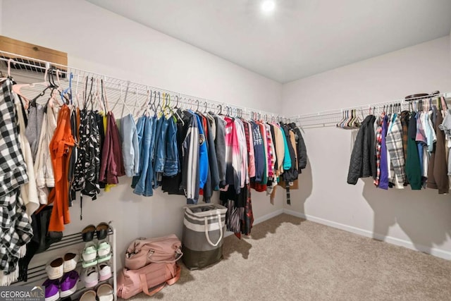 walk in closet featuring carpet flooring