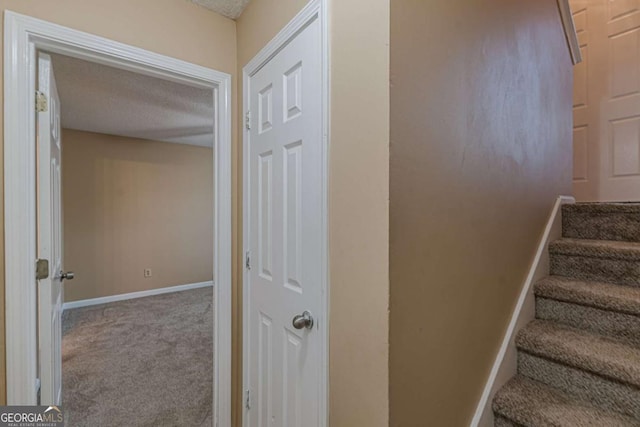 stairs featuring carpet and a textured ceiling