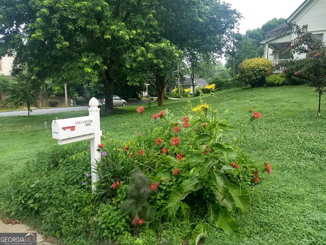 view of property's community with a yard