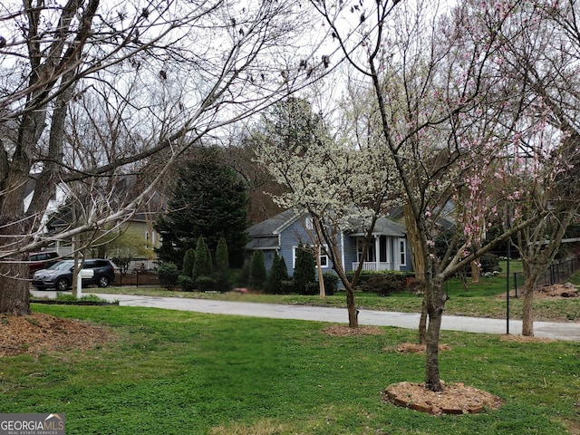 view of yard