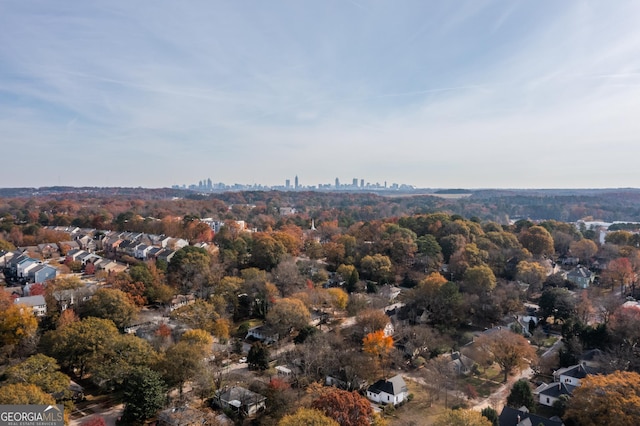 bird's eye view