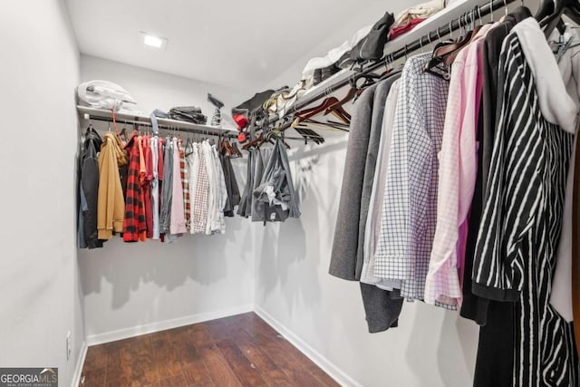 walk in closet featuring dark hardwood / wood-style flooring