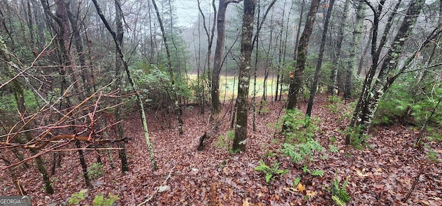 Listing photo 2 for LOT97 Zeppelin Strasse, Helen GA 30545